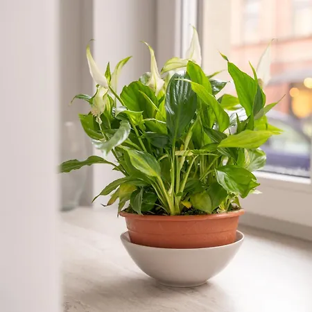 Stylish Family 1 Bedroom With Working Desk By Park And Restaurants * Riga