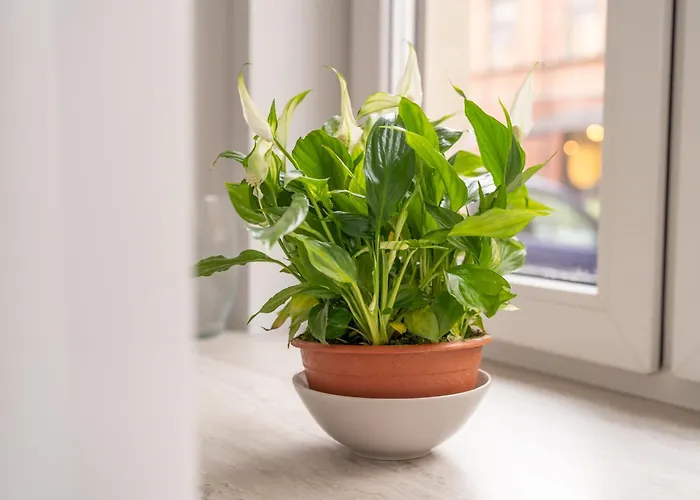 Stylish Family 1 Bedroom With Working Desk By Park And Restaurants * Рига